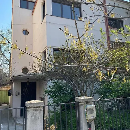 Studio British Londra - Dorobanti